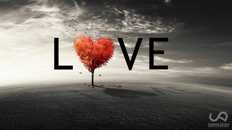 Love artwork from the church’s Facebook cover